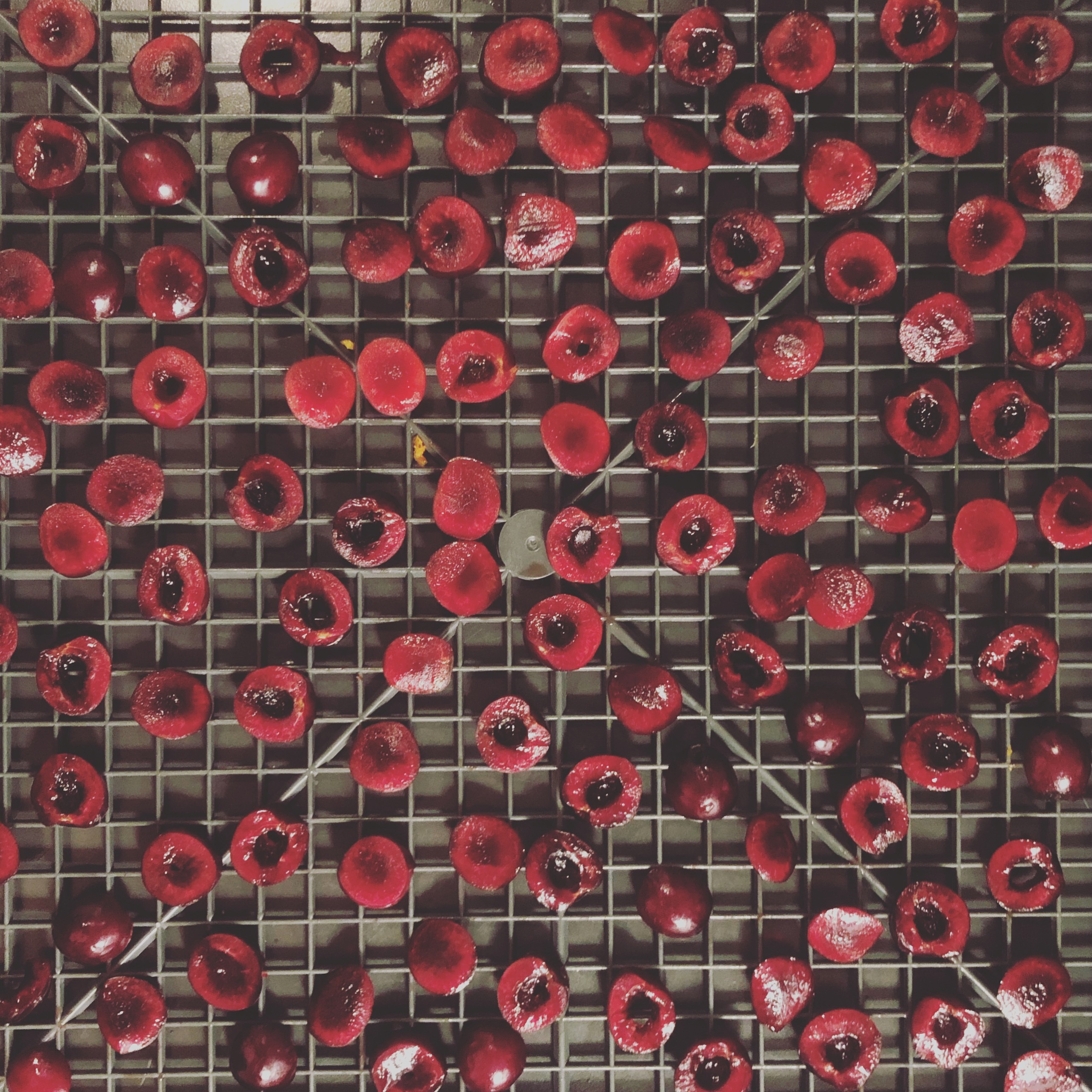 Dehydration Prep ð